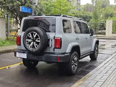 2021 Tank 300 City 2.0T Very Stylish — фото 8