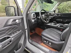 2021 Tank 300 City 2.0T Very Stylish — фото 13