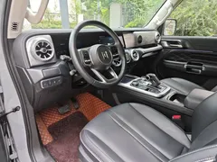 2021 Tank 300 City 2.0T Very Stylish — фото 14
