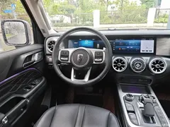 2021 Tank 300 City 2.0T Very Stylish — фото 18