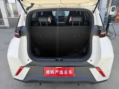 2023 BYD Seagull Vitality, белый — фото 9