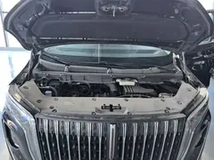 2024 Hongqi HQ9 2.0T 4WD, чёрный — фото 20