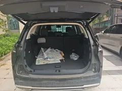 2024 Hongqi HS7 2.0T PHEV 4WD 7, чёрный — фото 19