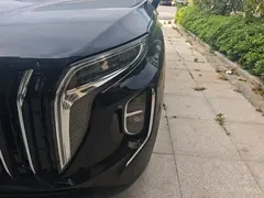2024 Hongqi HS7 2.0T PHEV 4WD 7, чёрный — фото 24