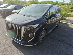 2024 Hongqi HQ9 2.0T 4WD — фото 1