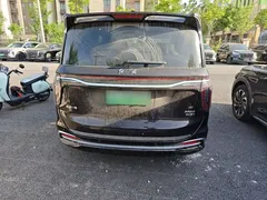2024 Hongqi HQ9 2.0T 4WD — фото 6