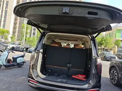 2024 Hongqi HQ9 2.0T 4WD — фото 19