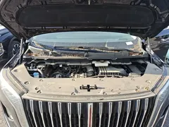 2024 Hongqi HQ9 2.0T 4WD — фото 20
