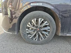 2024 Hongqi HQ9 2.0T 4WD — фото 23