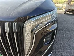 2024 Hongqi HQ9 2.0T 4WD — фото 24