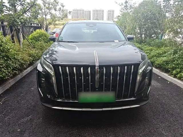 2024 Hongqi HS7 2.0T PHEV 4WD 6