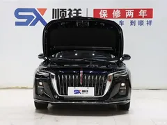 2024 Geely Hongqi H5 2.0T AT Zhilian Qichang, чёрный — фото 19