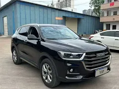 2021 Haval H6 1.5GDIT AT Guochao Champion, чёрный — фото 3