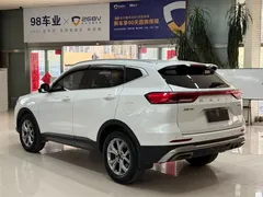 2021 Haval H6 1.5T AT, белый — фото 6