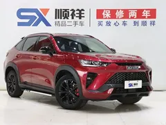 2022 Haval H6S 1.5T DHT Smart Running — фото 3