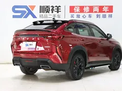 2022 Haval H6S 1.5T DHT Smart Running — фото 5