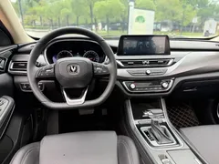 2021 Changan Raeton PLUS 1.5T DCT — фото 15