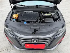 2021 Changan Raeton PLUS 1.5T DCT — фото 18