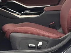 2023 BMW 3 Series 320Li M Sport Package, чёрный — фото 20