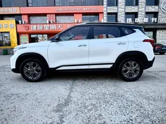 2023 Kia Seltos 1.5L CVT Luxury, белый — фото 8