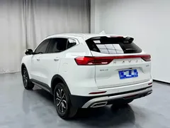 2023 Haval H6 1.5T AT, белый — фото 13