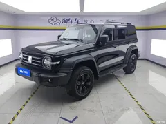 2021 Tank 300 Off-Road 2.0T Conqueror, чёрный — фото 1