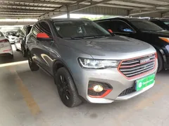 2019 Haval H4 1.5GDIT Pro China 6 — фото 4