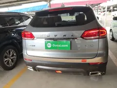 2019 Haval H4 1.5GDIT Pro China 6 — фото 6