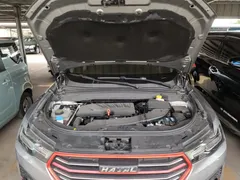 2019 Haval H4 1.5GDIT Pro China 6 — фото 20