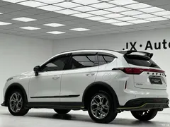 2022 Haval Red Rabbit Enjoy 1.5T Brass Rabbit, белый — фото 9