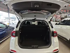 2020 Chery Tiggo 5x 1.5L MT Fashion, белый — фото 19