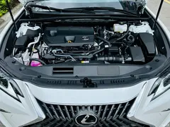 2022 Lexus ES 300h Excellence, белый — фото 8