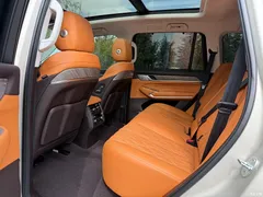 2022 Tank 500 3.0T Sport Environment-friendly 5-seater — фото 5