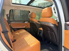 2022 Tank 500 3.0T Sport Environment-friendly 5-seater — фото 8