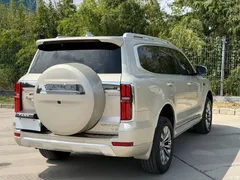 2022 Tank 500 3.0T Sport Environment-friendly 5-seater — фото 14