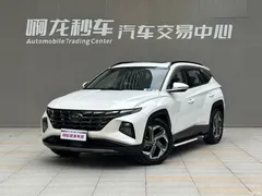 2021 Hyundai Tucson Tucson L 1.5T DCT LUX Premium, белый — фото 1