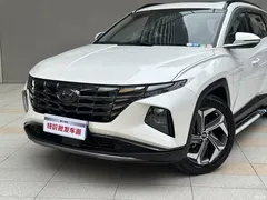 2021 Hyundai Tucson Tucson L 1.5T DCT LUX Premium, белый — фото 6