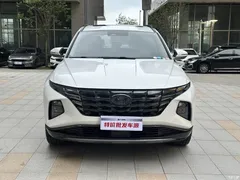 2021 Hyundai Tucson Tucson L 1.5T DCT LUX Premium, белый — фото 18