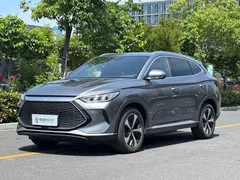 2021 BYD PLUS DM-i 110KM PLUS — фото 1