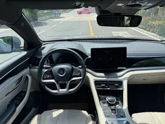 2021 BYD PLUS DM-i 110KM PLUS — фото 14
