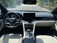 2021 BYD PLUS DM-i 110KM PLUS — фото 15