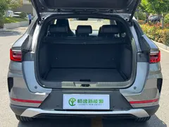 2021 BYD PLUS DM-i 110KM PLUS — фото 18