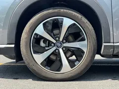 2021 BYD PLUS DM-i 110KM PLUS — фото 19