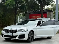 2022 BMW 5 Series 5 530Li M, белый — фото 20