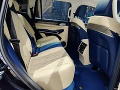 2022 Tank 500 3.0T Sport Environment-friendly 5-seater, чёрный — фото 11