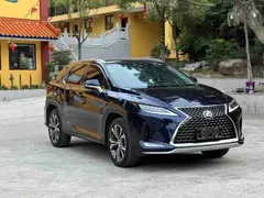 2020 Lexus RX 300 4WD, синий — фото 1