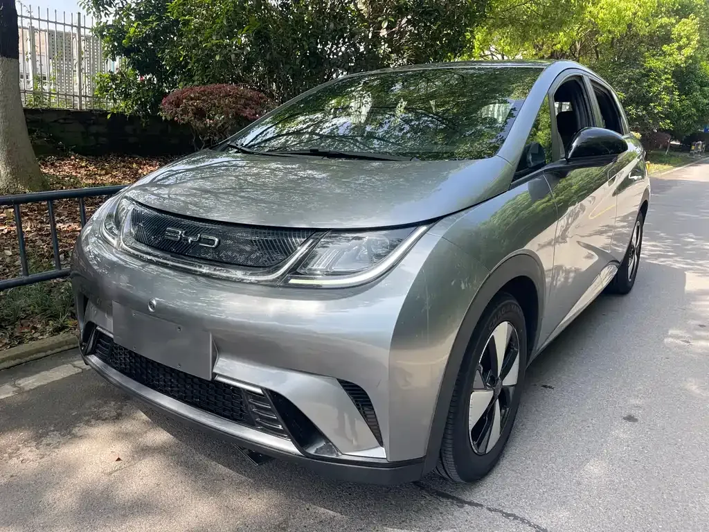 2023 BYD Dolphin 420km Freedom