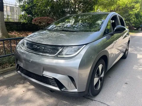 2023 BYD Dolphin 420km Freedom