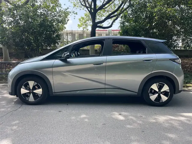 2023 BYD Dolphin 420km Freedom