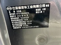 2023 BYD Dolphin 420km Freedom — фото 14